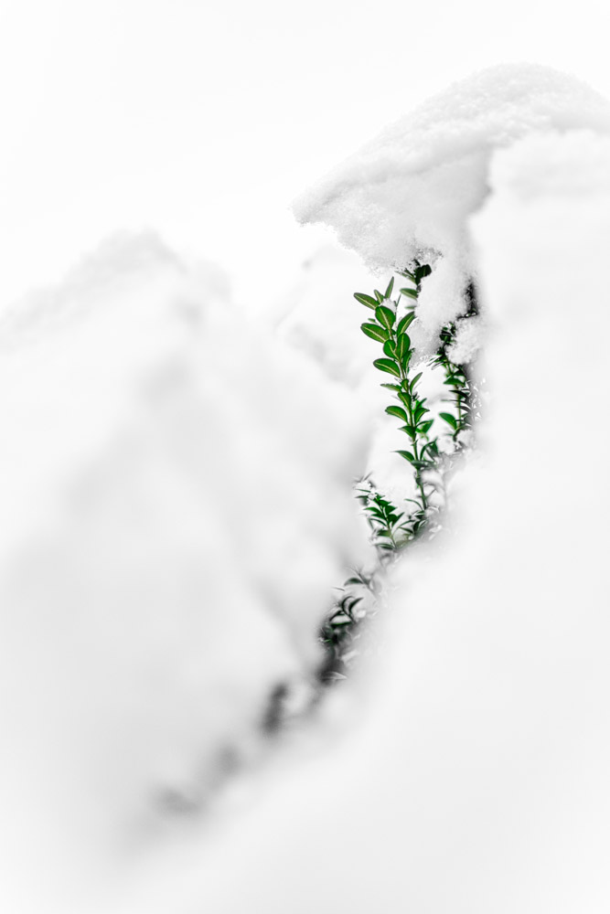 Platz 9 Harald Unglert